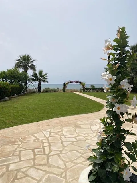 איה נאפה Ionion Beachfront Villa  איה נאפה