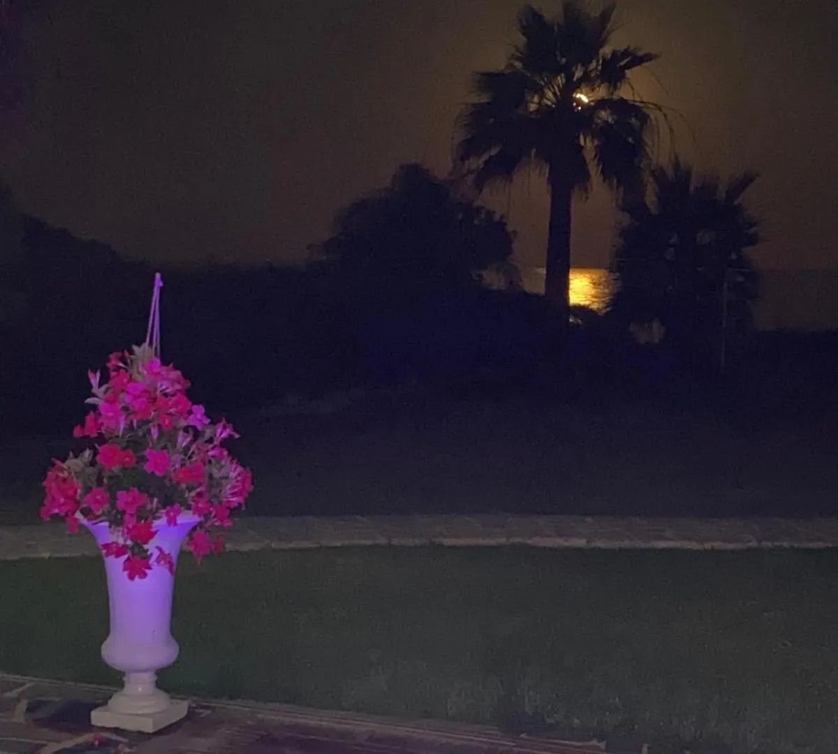 Ionion Beachfront Villa Ayia Napa