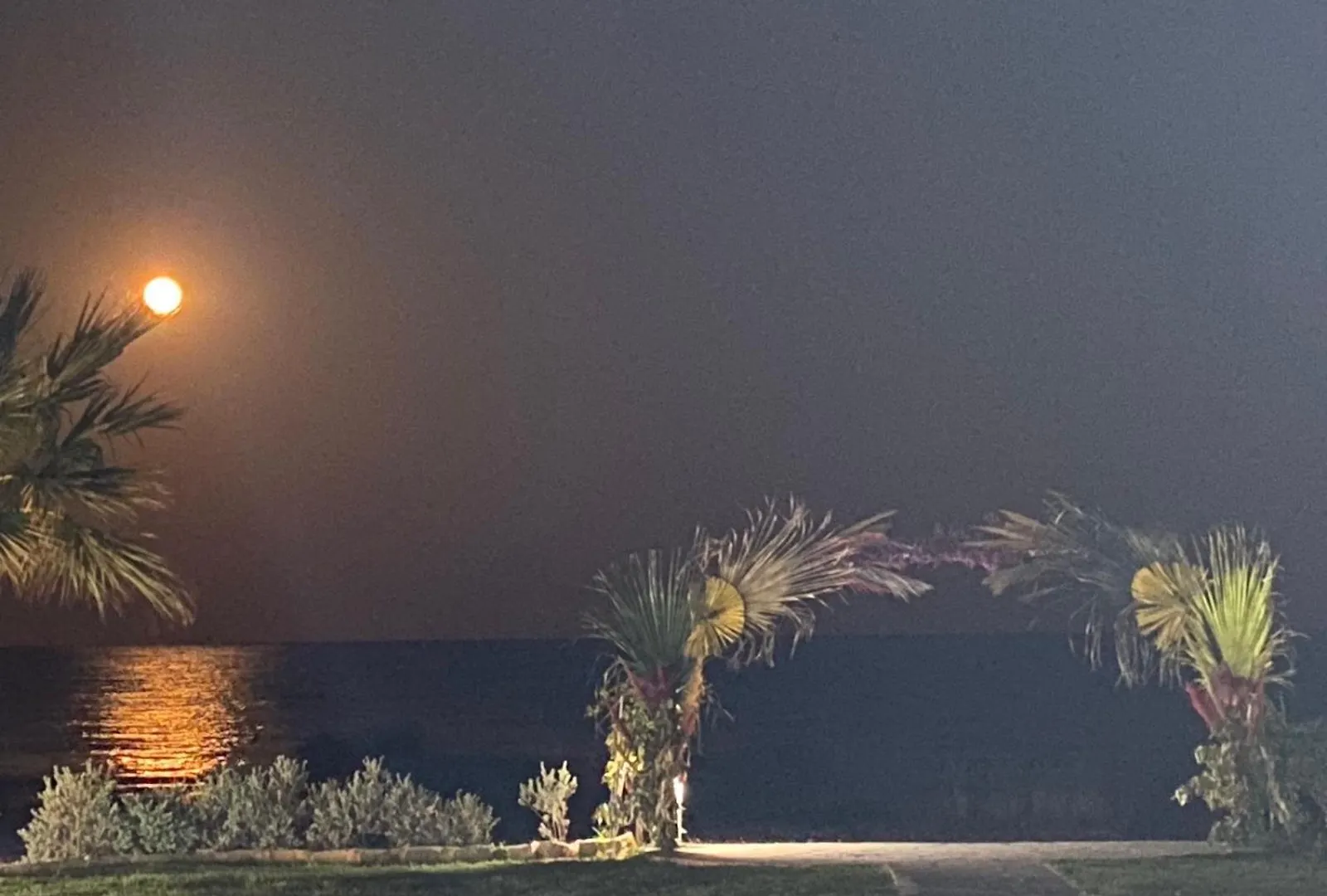 Ionion Beachfront Villa Ayia Napa